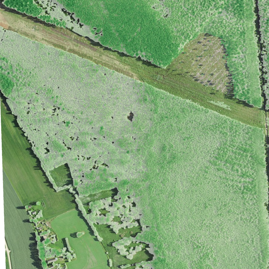 Ground truth — lidar canopy on aerial — Estonia EST_473628