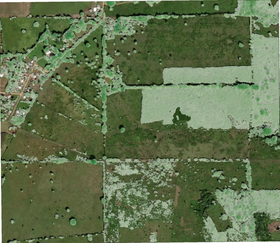 Ground truth — lidar canopy on aerial — Mexico MEX_4