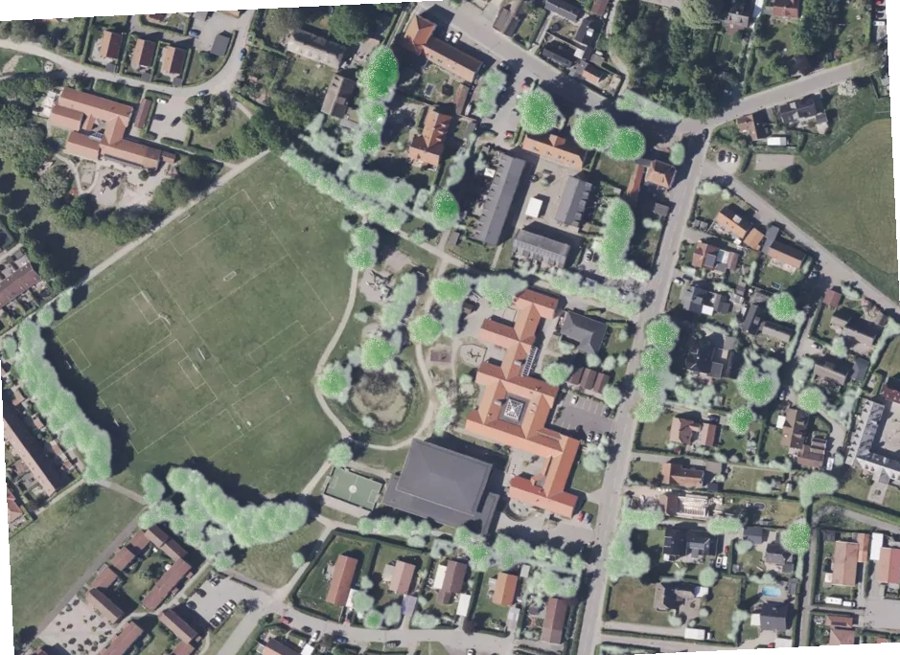 Ground truth — lidar canopy on aerial — Denmark DEN_5