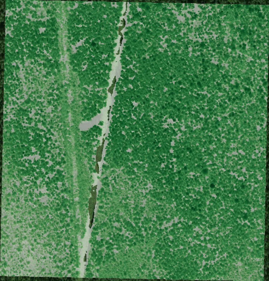 Ground truth โ lidar canopy on aerial โ Russia RU_4