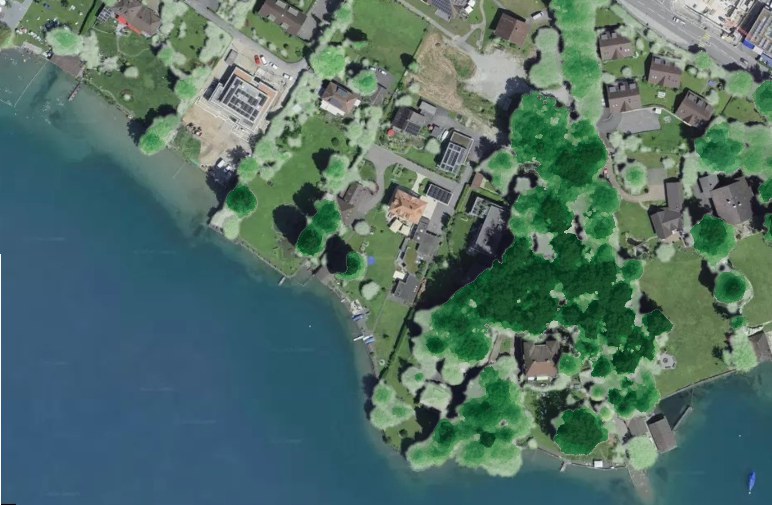 Ground truth โ lidar canopy on aerial โ Switzerland SWISS_3